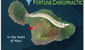 Fortune Chiropractic